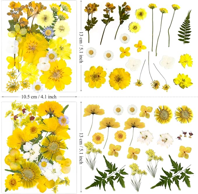 132Pcs Yellow Pressed Dried Flowers and Butterfly - Image 5