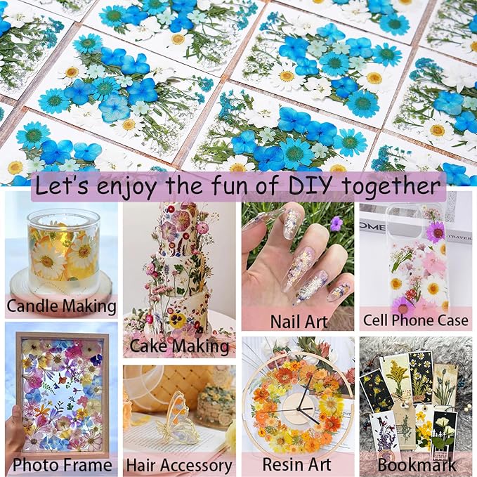 146Pcs Dried Pressed Flowers for Crafts, Xinxinran Dry Flowers Kit for Resin - Image 6