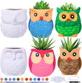 Winlyn 6 Sets DIY Ceramic Owl Succulent Pots Paint Craft Kit, Unpainted Ceramic by Winlyn
