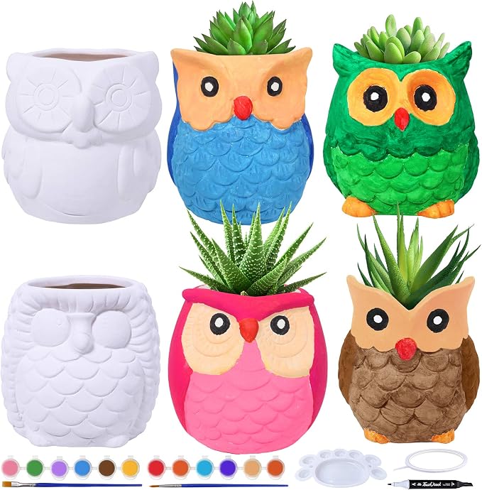Winlyn 6 Sets DIY Ceramic Owl Succulent Pots Paint Craft Kit, Unpainted Ceramic by Winlyn