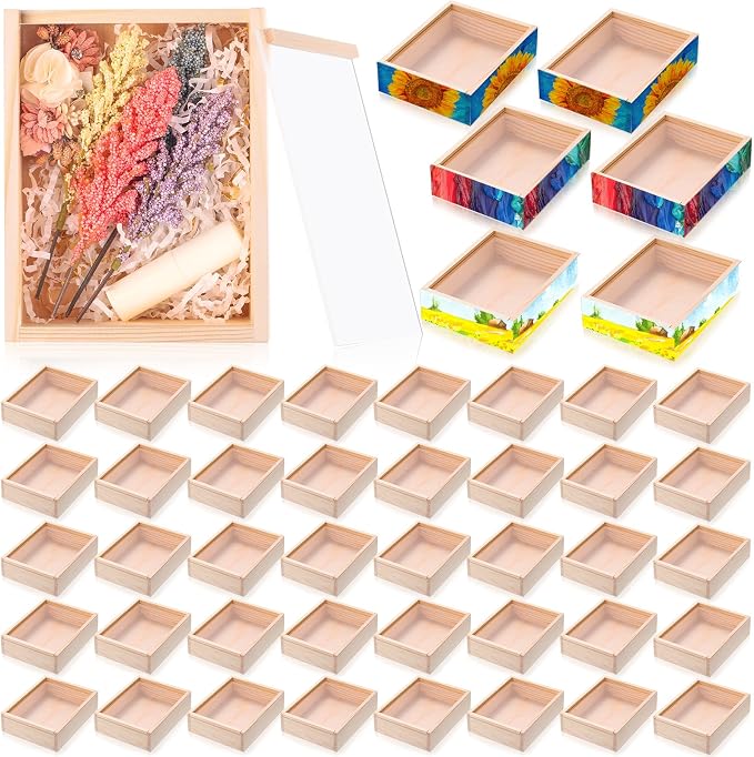 Thyle 48 Pcs Unfinished Wood Display Boxes by Thyle