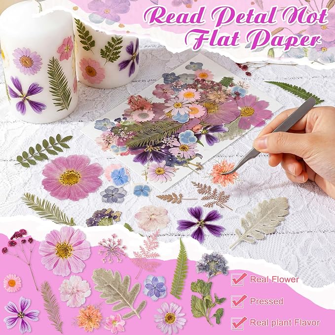 96 Pcs Natural Dried Pressed Flowers - Image 4