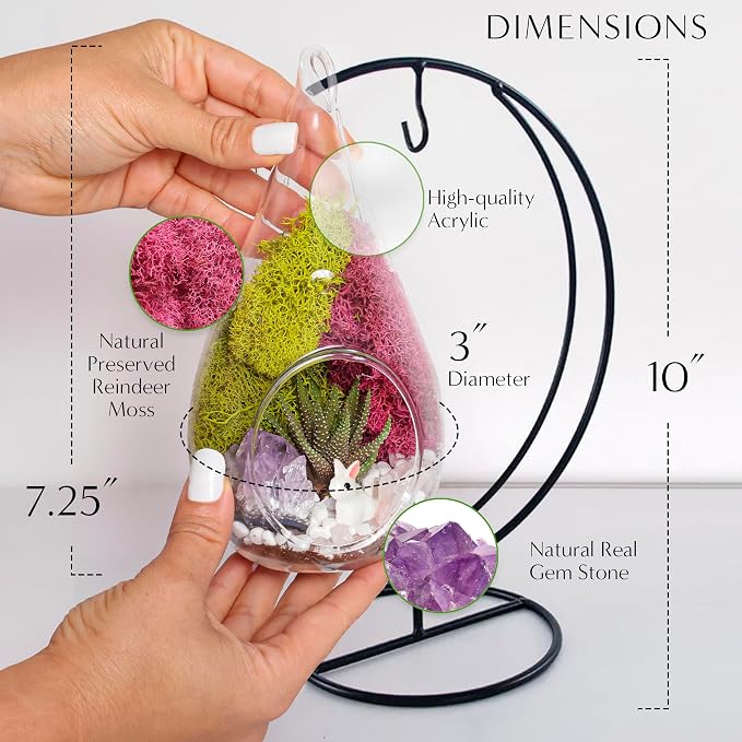 Creations by Nathalie DIY 7" DIY Teardrop Terrarium Kit - Image 3