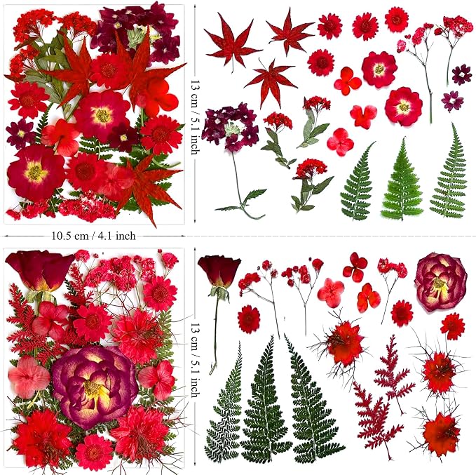 132Pcs Red Pressed Dried Flowers and Butterfly - Image 6