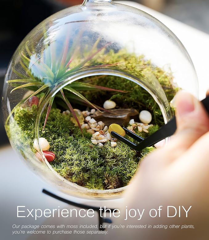 LUCKYRUNES DIY Terrarium Kit - Image 7