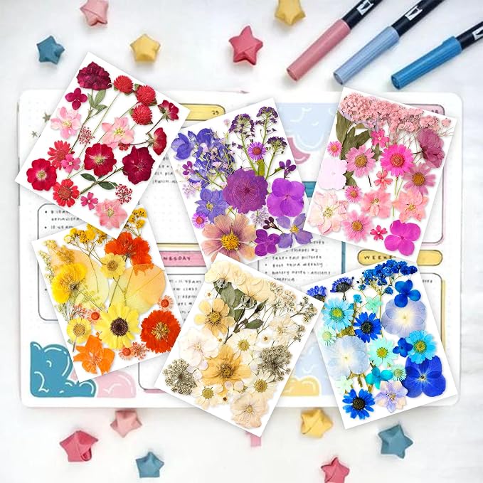 221PCS Real Nature Dried Pressed Flowers - Image 2
