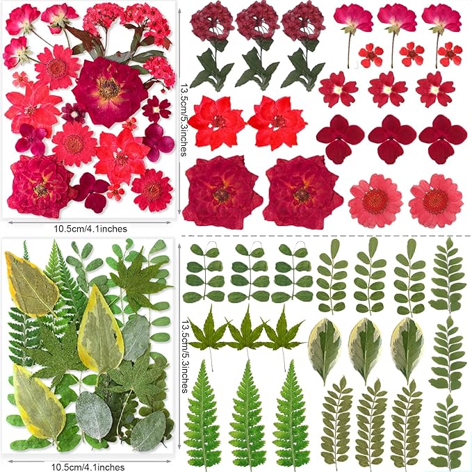 269PCS Dried Pressed Flowers for Resin Craft - Image 6