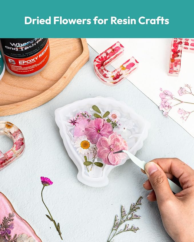 Dried Flowers, Resiners 100Pcs Pressed Flowers - Image 3