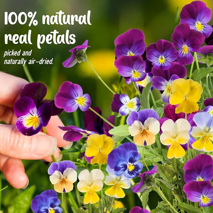 40 Pcs 8 Kinds Natural Dried Pressed Edible Flowers - Image 2