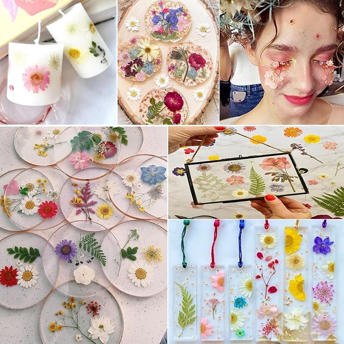 140Pcs Multi-Style Dried Pressed Flowers & Leaves - Image 6