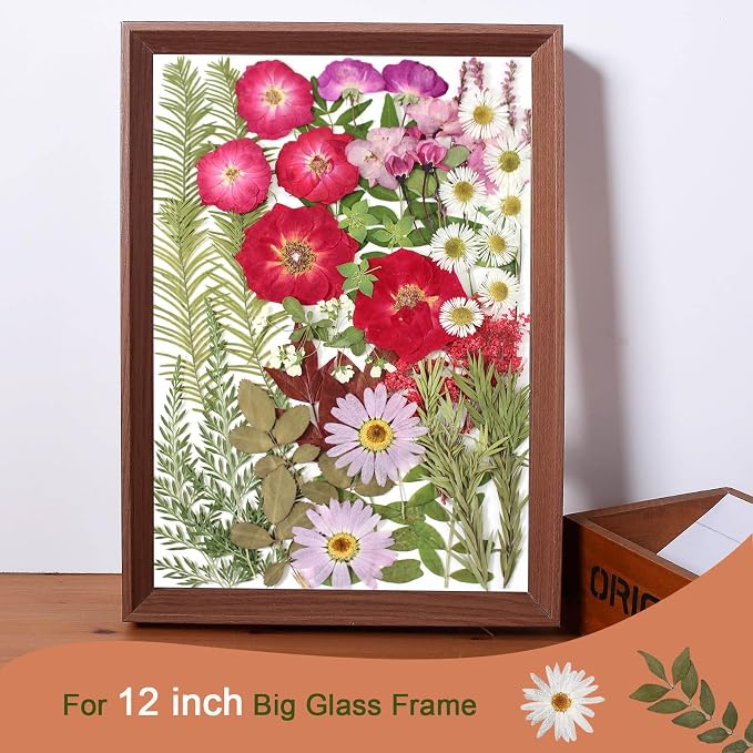A5 Large Bulk Christmas Dried Pressed Flowers - Image 4