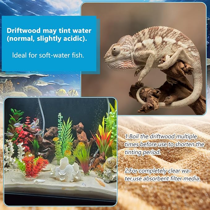 3 Pcs Natural Driftwood for Aquarium, Aquarium Driftwood Freshwater 8-10 Inch - Image 4