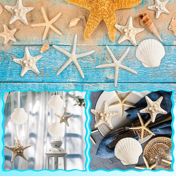 16 Pieces Starfish and Scallop Shells - Image 5