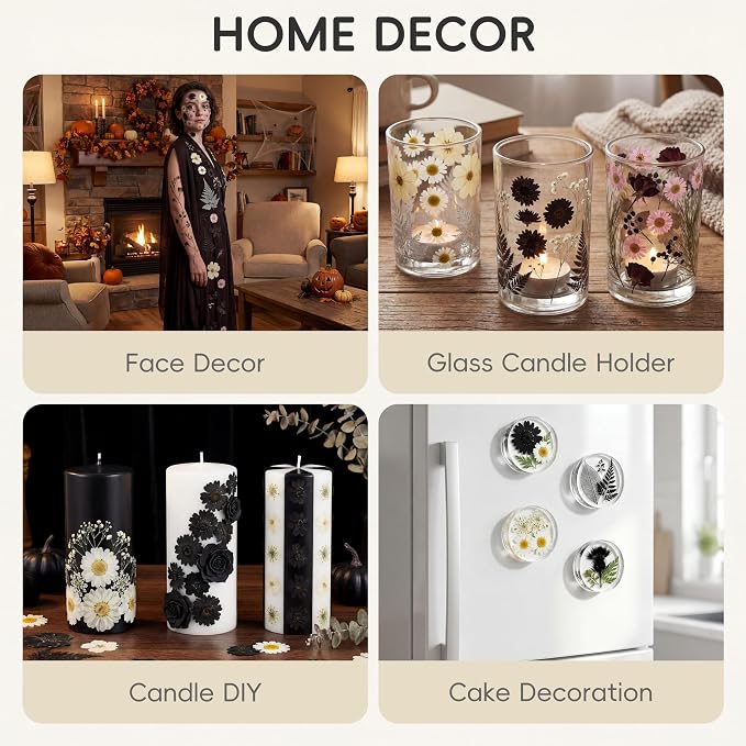 LUXEEASE 90P Halloween Black & White Dried Pressed Flowers | Gothic elegant - Image 7