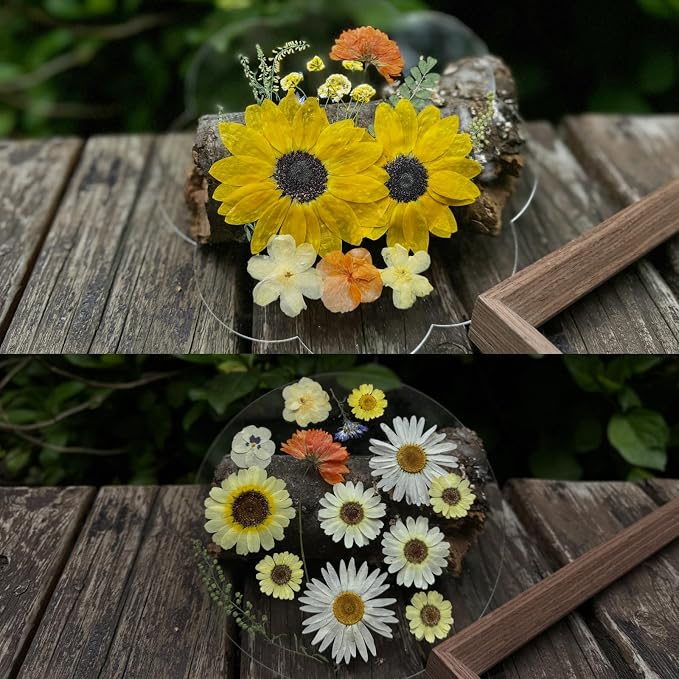 A4 Large Dried Pressed Flowers for Resin - Image 4