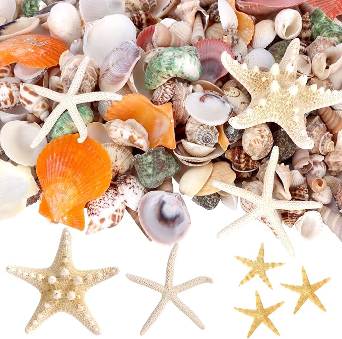 WEOXPR Mixed Seashells & Starfish Decor - Image 7