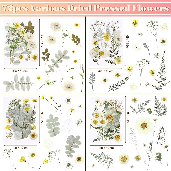 EBOOT 72 Pcs Dried Pressed Flowers - Image 2