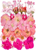 15 Types 37pcs Pink Dried Pressed Flowers by YouthBro