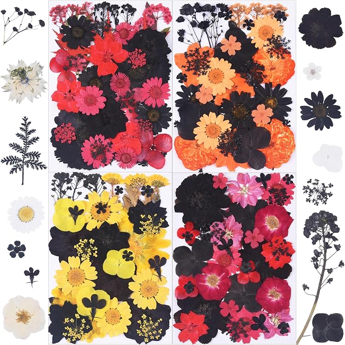 154Pcs Black Dried Pressed Flowers by Unknown