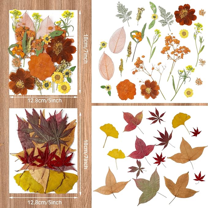 Nuanchu Fall Pressed Flowers Bulk Dried Flower - Image 5