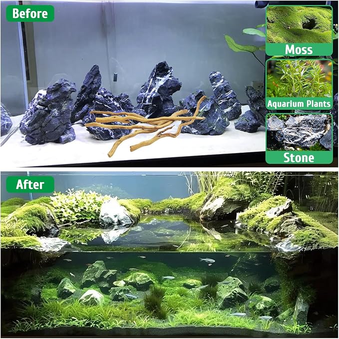 kathson Natural Driftwood for Aquarium - Image 5