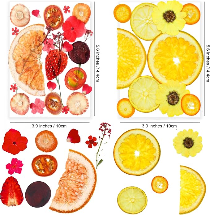 70PCS+ Nature Dried Pressed Fruits Flowers - Image 4
