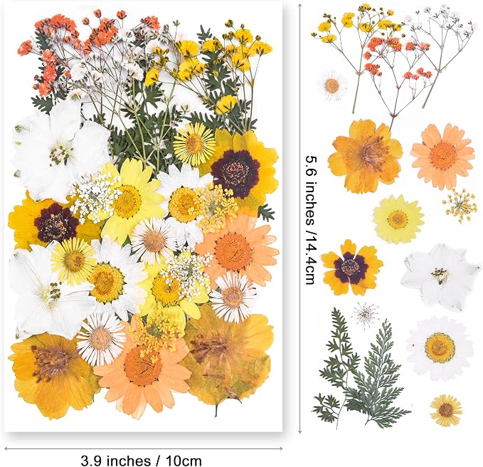 YouthBro Dried Pressed Flowers for Resin Molds, Real Natural Pressed Flowers - Image 2