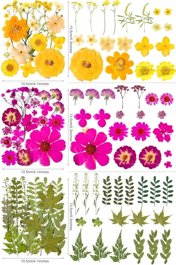 320PCS Dried Pressed Flowers Bulk - Image 3