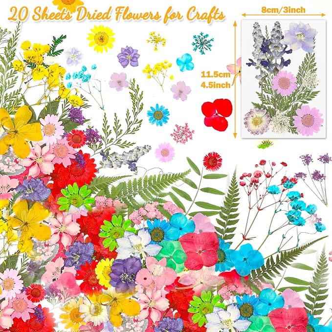 200 Pcs Dried Pressed Flowers for Crafts, 20 Sheets Real Dry Florals and Leaves - Image 5