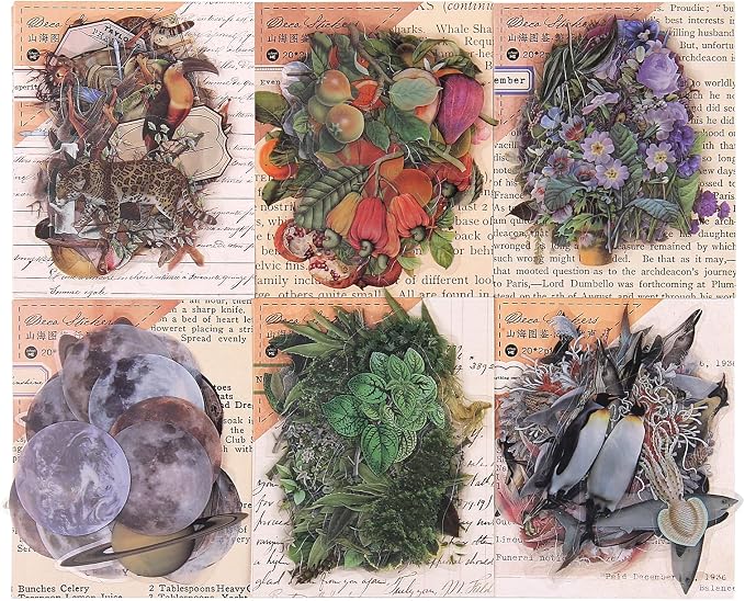 Nature Themed Transparent Pre-Cut Stickers - Image 8