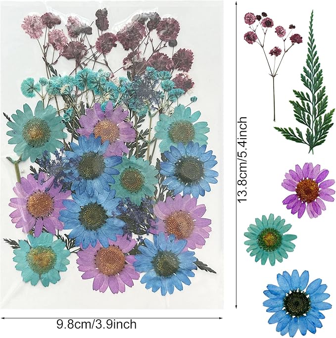 Woohome 110PCS Real Pressed Flowers, Dried Pressed Flowers Colorful Real - Image 4