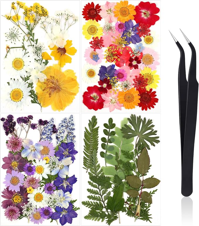 Nuanchu Pressed Flowers Bulk Dried Flower by Nuanchu