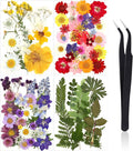 Nuanchu Pressed Flowers Bulk Dried Flower by Nuanchu