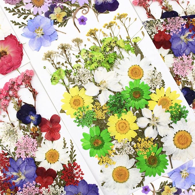 84 Pcs Green Dried Pressed Flowers Real Natural Leave - Image 3
