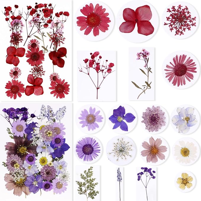 BIHRTC 100pcs Blue Dried Flowers - Image 2