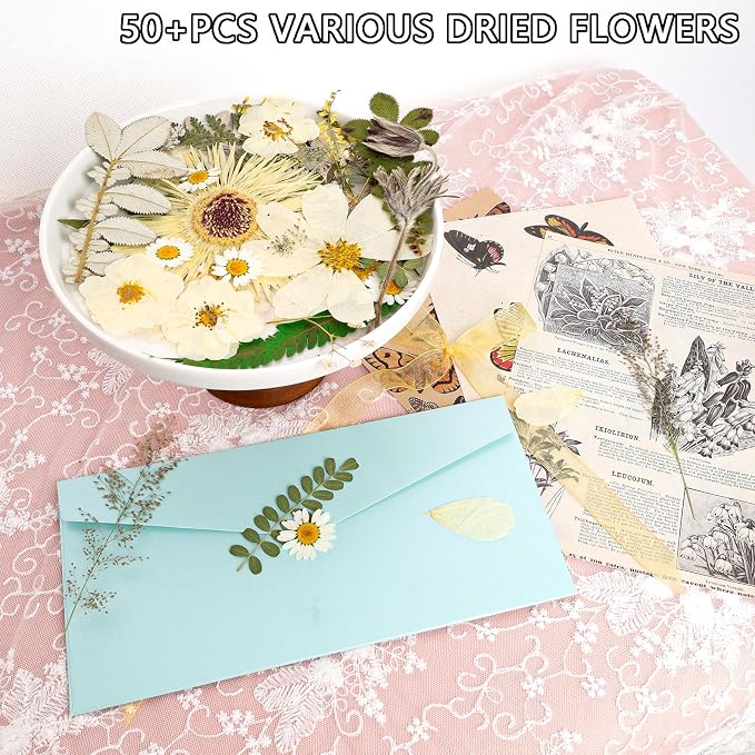 50Pcs Dried Pressed Flowers Real Pressed Flowers Natural Dry Leaves Bulk Mixed - Image 4