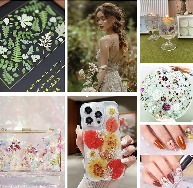 150PCS Pressed Dried Flowers Dry Leaves - Image 6
