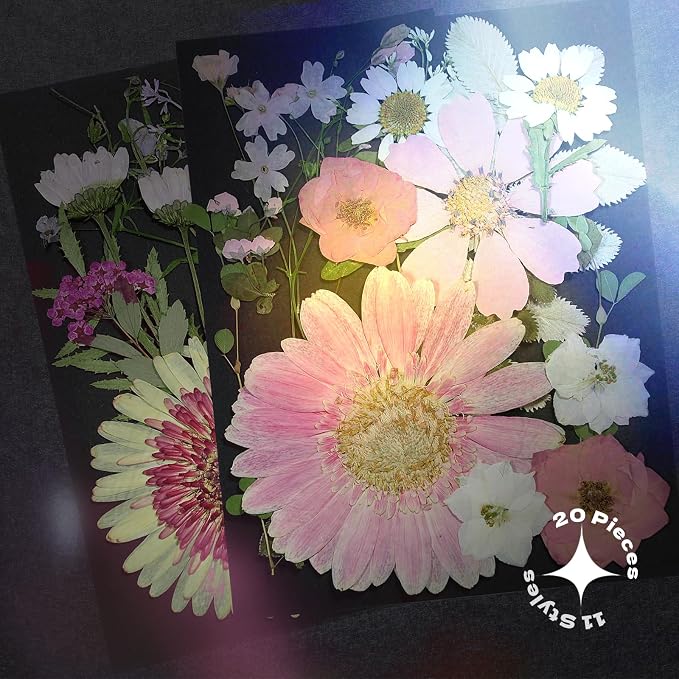 White Dried Pressed Flowers - Image 3