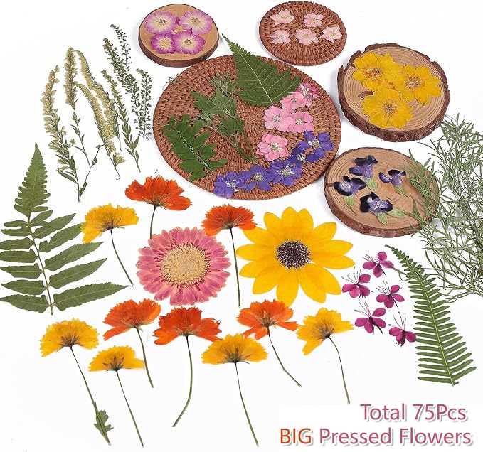 12“ Large Bulk Summer Dried Pressed Flowers - Image 3