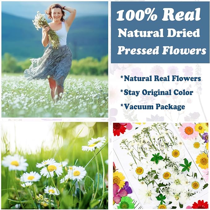 86Pcs White Pressed Dried Flowers Real Natural Leave - Image 2