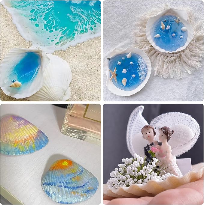 Lucky Baby 25pcs Scallop Shells - Image 3