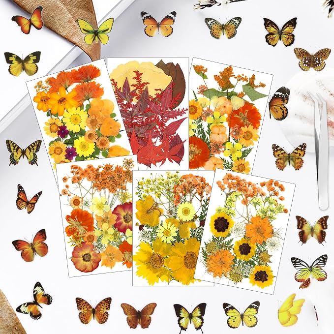 169Pcs Fall Dried Pressed Flowers - Image 4