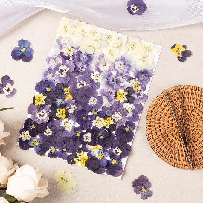 60Pcs Dried Pressed Pansies Flowers - Image 3