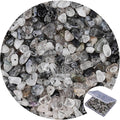 456 PCs Natural Chip Stone Beads, 5-8mm Irregular Multicolor Gemstones Loose by BONNY+BOXX