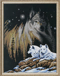Janlynn Counted Cross Stitch Kit, Northern Lights by Janlynn