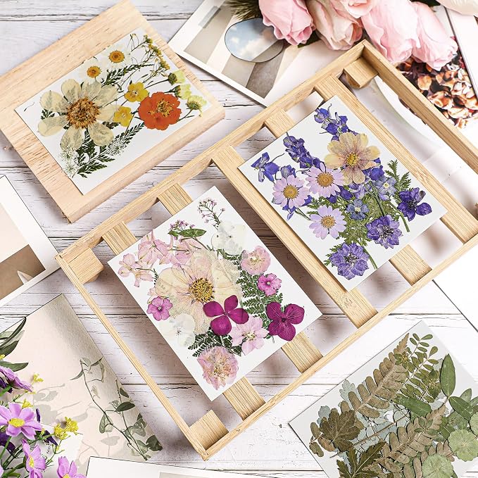 Nuanchu Dried Flower for Crafts Resin Pressed Flowers Bulk Real Dried - Image 2