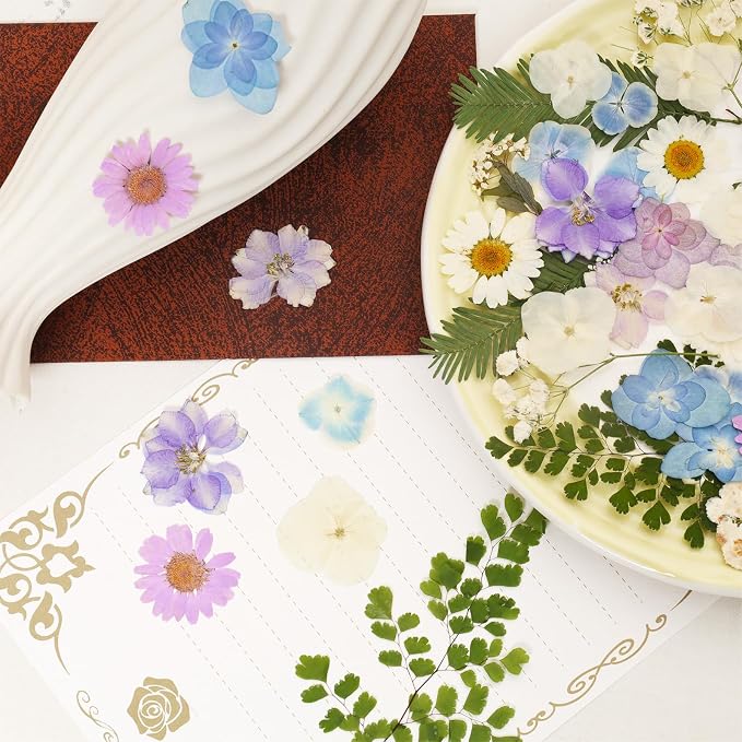 Dried Pressed Flowers Real Pressed Flowers Natural Dry Leaves Bulk Mixed - Image 5