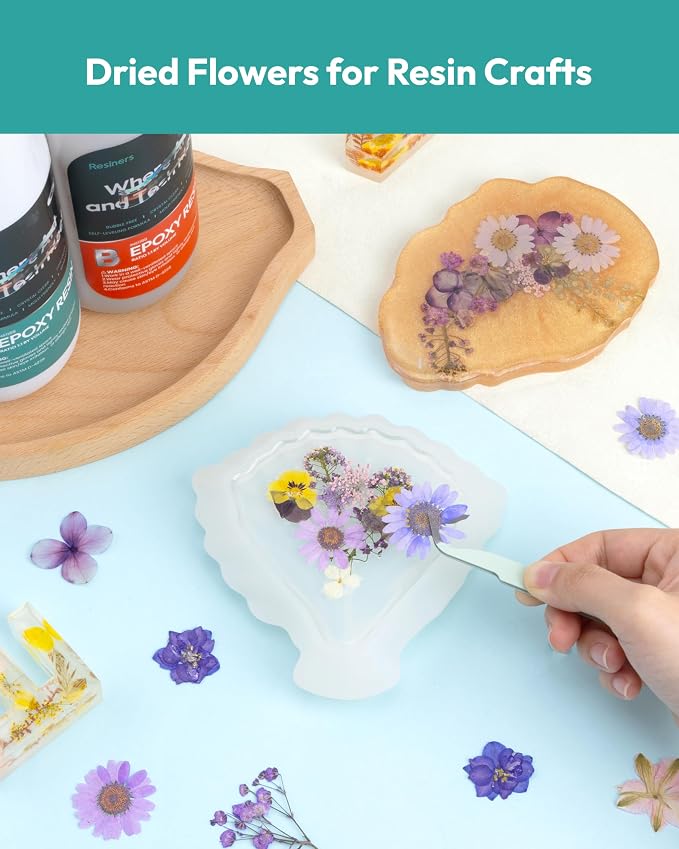 Dried Flowers, Resiners 100Pcs Pressed Flowers - Image 6