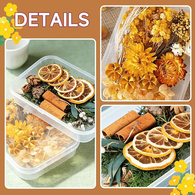 2PCS Dried Flowers Kit, Natural Dried Flowers Kit - Image 5