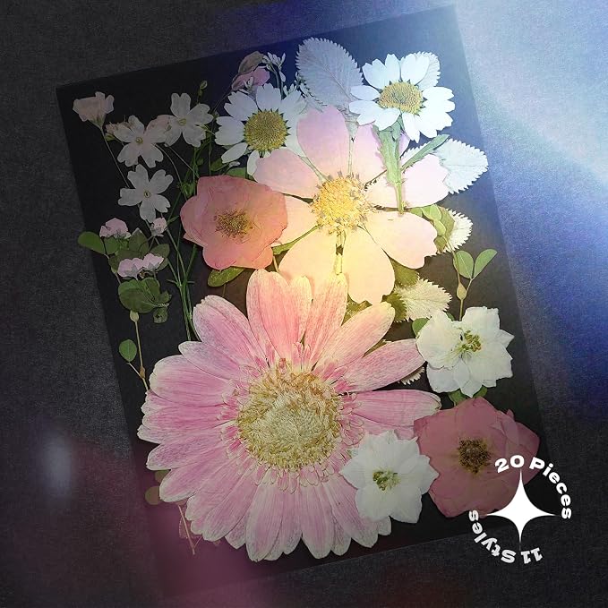 Pink Dried Pressed Flowers, Real Nature Flowers - Image 2